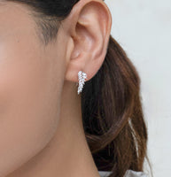 Silver Leaf Zircon Earrings