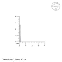 Simplicity in Radiance Zircon Silver Hoop Earrings