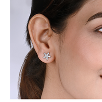 Star Zircon Silver Studs